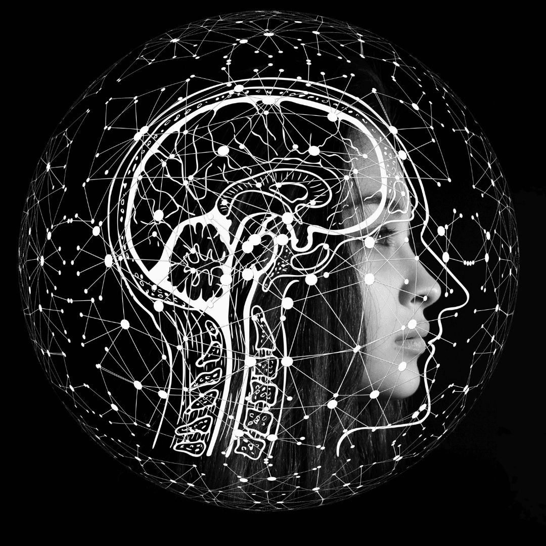 ÉQUILIBRE NEURO